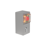 TE1B121 Terminale di Uscita di Emergenza EN 13637 Montaggio superficiale 2 moduli (Pulsante Master + Cilindro di chiusura PZ88) + Alimentazione elettrica 230VAC/24VDC 0,4A