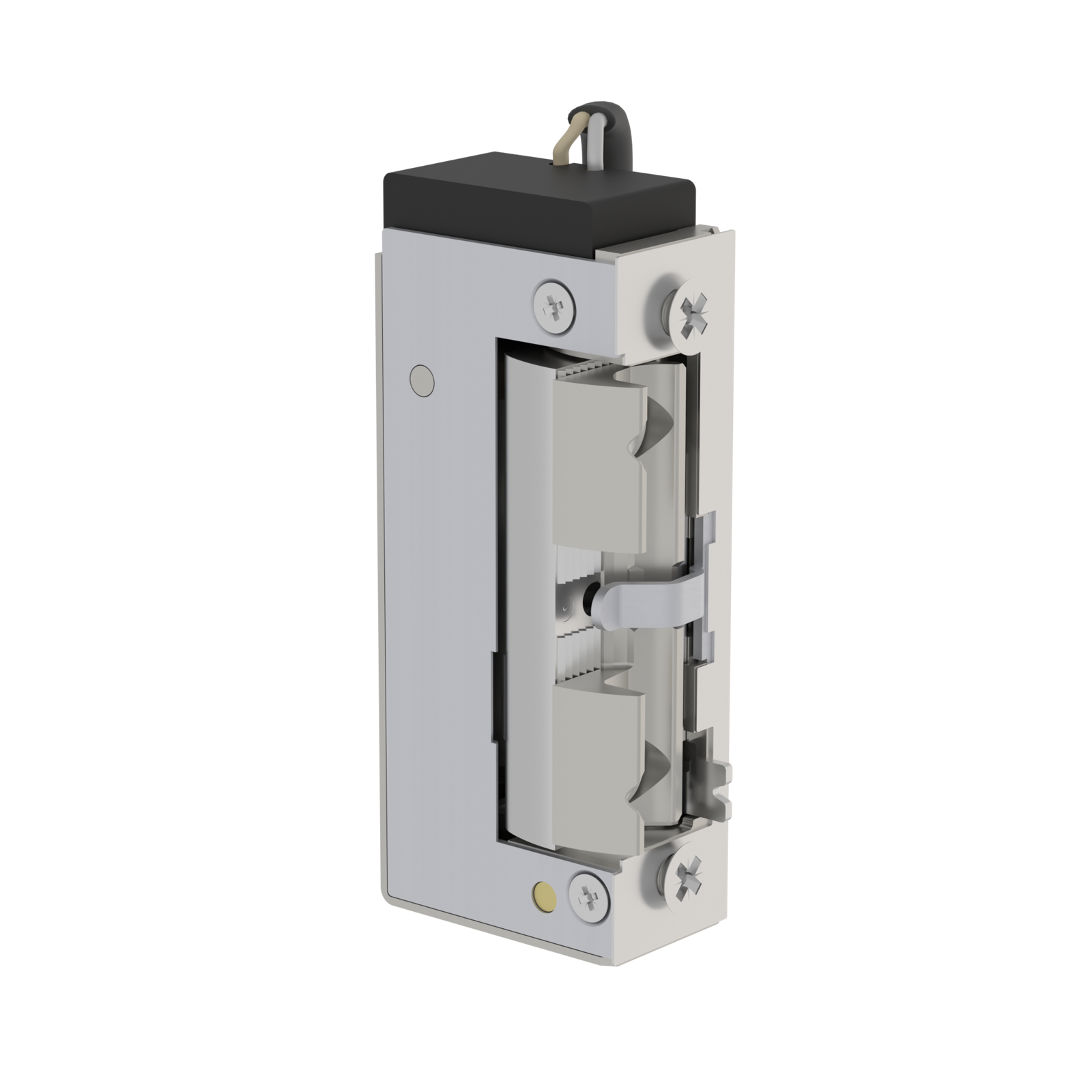 5EW3K20 Cerradero Electrónico IP68 10-30V AC/DC 5800N Estándar automático con palanca