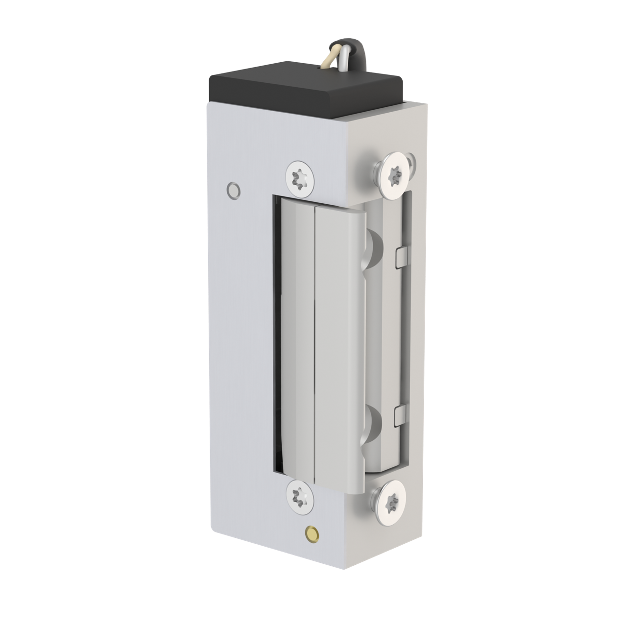 3EW0Z10 Elektronischer Türöffner IP68 8-30V AC/DC 5.800N Arbeitsstrom